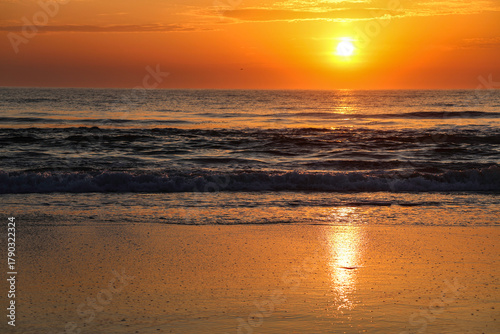 Corolla Sunrise