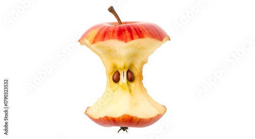Bitten Apple Core with Seeds fruit food