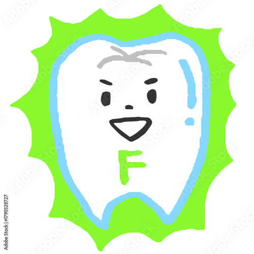 フッ素に守られている歯