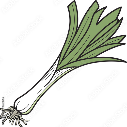 leek vector art