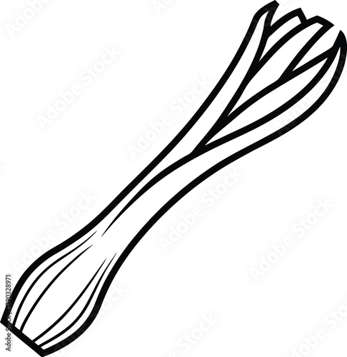 leek vector art