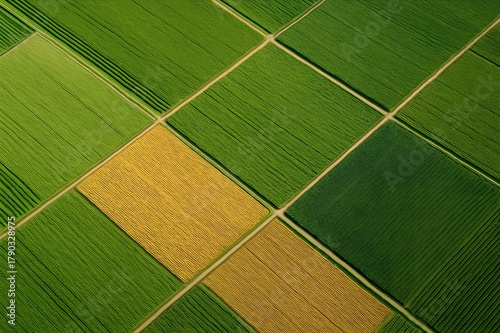 aerial view of geometric farmland patterns during daytime
