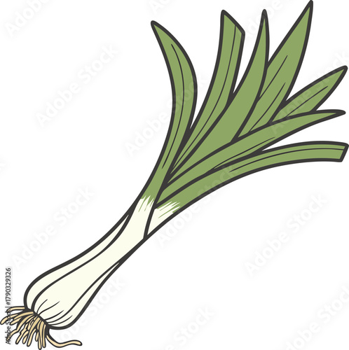 leek vector art