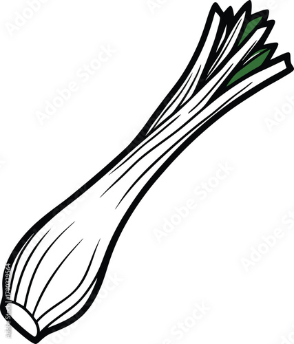 leek vector art