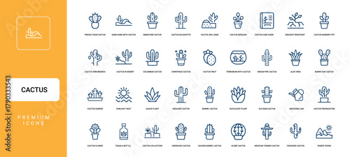 cactus plant desert succulent vector line icon collection