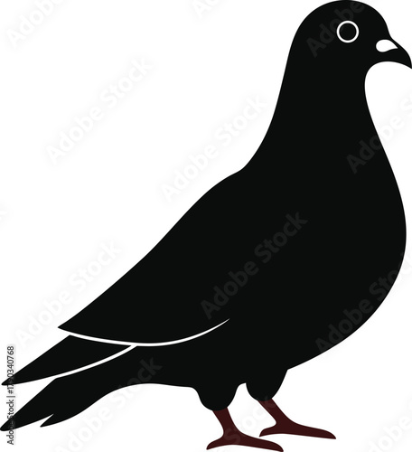 pigeon silhouette