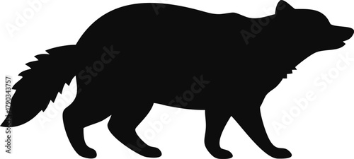 raccoon silhouette 