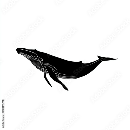 Silhouette of a whale swimming gracefully in the ocean.