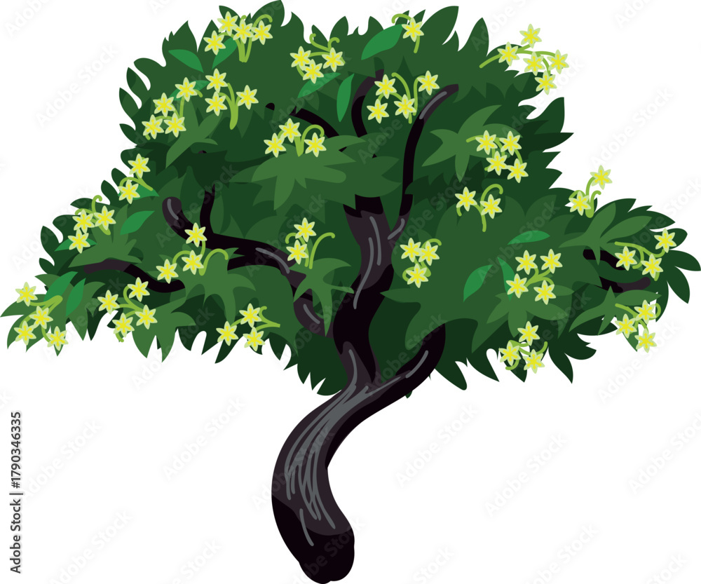 Naklejka premium Blooming avocado tree (Persea americana) on white background