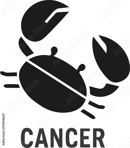 Twelve Zodiac Signs Icon Set Black and White Flat Vector Symbols