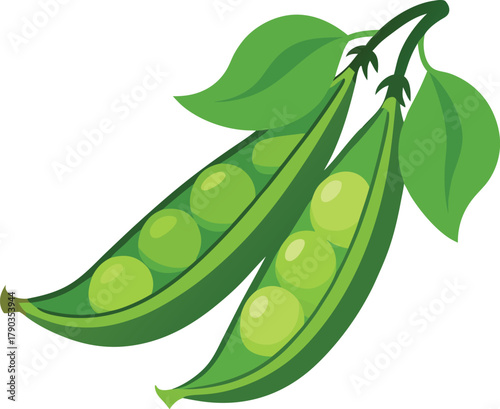 snow peas vector art