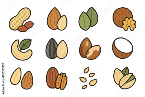 Assorted nuts and seeds illustration with almonds, cashews, pistachios, and more.
