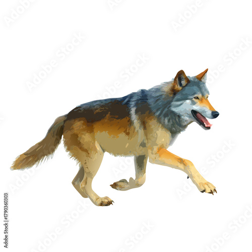 Swift Hunter: A lone wolf strides purposefully, its gaze fixed ahead, embodying the wild's spirit and the untamed wilderness.