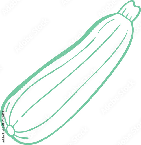 zucchini vector art