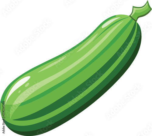 zucchini vector art