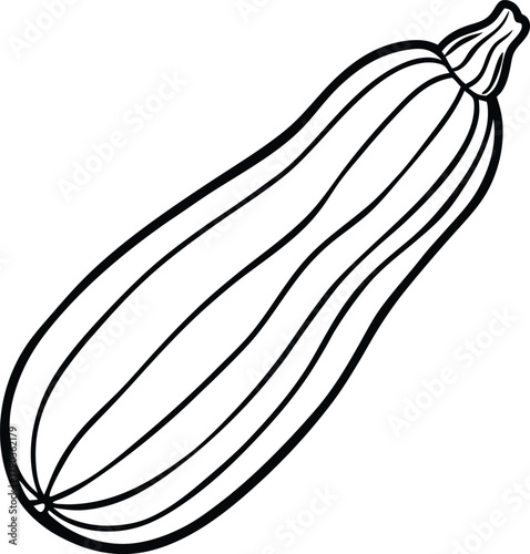 zucchini vector art