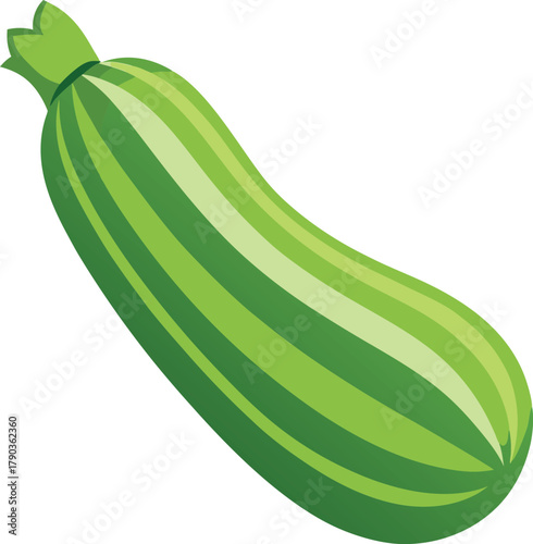 zucchini vector art