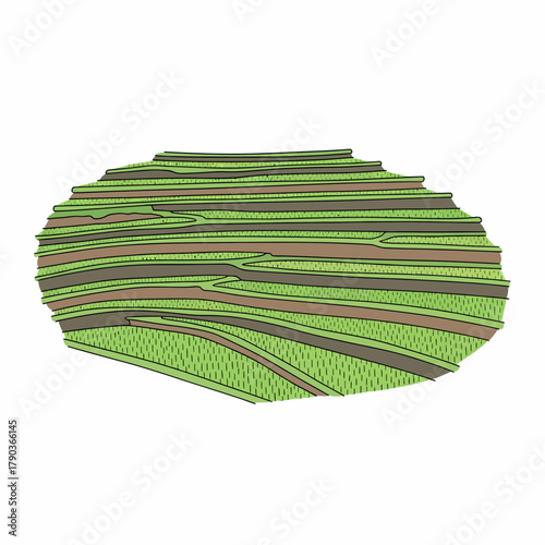 Vibrant green terraced fields ascend hillsides showcasing agricultural harmony and sustainable farming practices