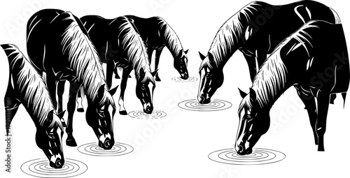 Horse silhouettes drinking water, minimal style, black vector animals, ripple effect, nature behavior, grazing pose, wildlife illustration, peaceful scene, stock content
