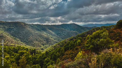 Hilly rolling landscape with slopes covered in green trees under blue sky with clouds. National Park of Montes de Malaga, Andalucia, Spain.