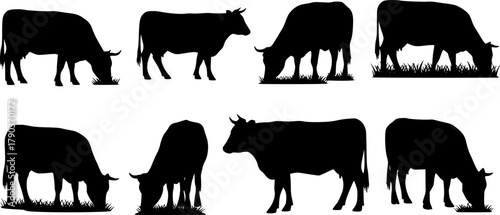 Cow silhouette vector set, grazing cattle illustration, black farm animal icons, pasture grass design, livestock clipart for agriculture, rural themes
