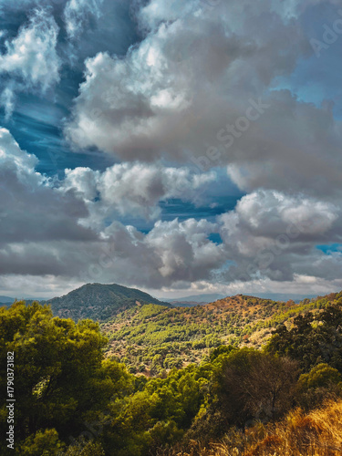 Hilly landscape with slopes covered in green trees under blue sky with clouds. National Park of Montes de Malaga, Andalucia, Spain.