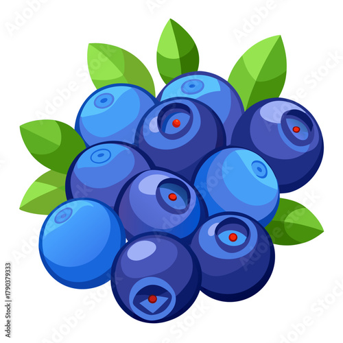 Blueberry Cluster Vector