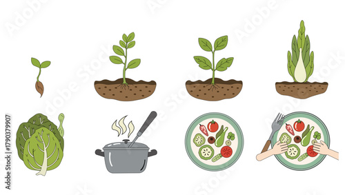 Farm to Plate Food Cycle Plant Growth Healthy Eating Stages Vector