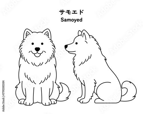 サモエドの全身 線画イラストセット（ベクター）