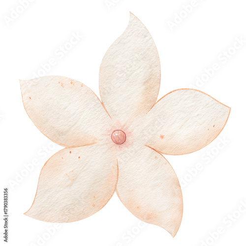 Foto Watercolor beige flower clipart, delicate five-petal floral illustration
