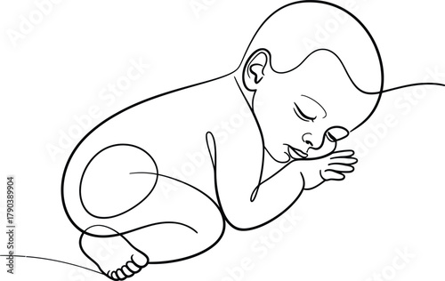 Sleeping Newborn Baby Continuous Line Art infant child