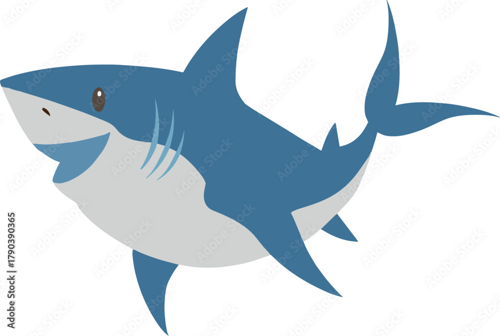 Fototapeta premium vector illustration of a shark on isolated transparent background