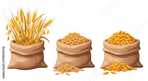 Three isolated vector illustrations of burlap sacks, one filled with golden wheat stalks and two overflowing with harvested cereal grains