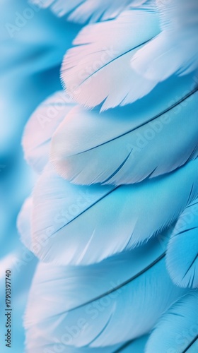 Soft Blue Feathers Create a Stunning Texture Against a Light Background Showc...