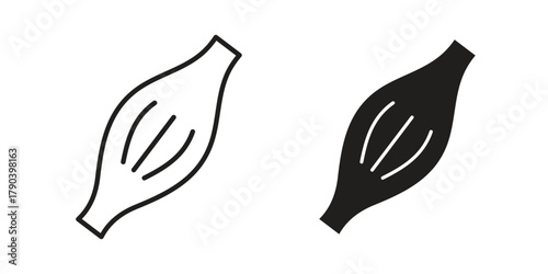 Muscle fiber icon vector with glyph style. Stroke liner icons