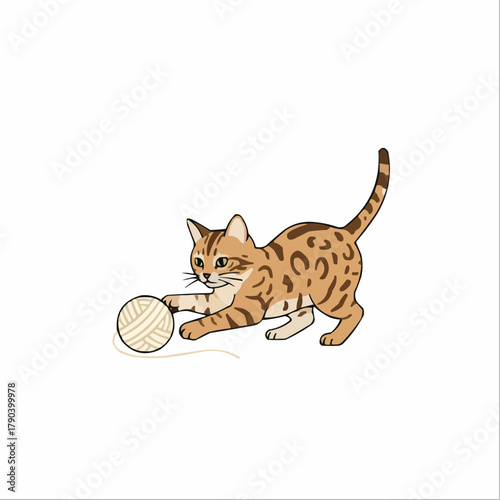 Bengal cat plays with a yarn ball