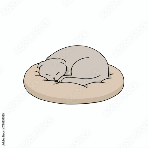 Adorable Feline Companion Enjoying a Peaceful Nap in Its Cozy Round Pet Bed – A Sweet Moment of Rest and Tranquility for a Beloved Cat, Perfect for Pet-Themed Designs