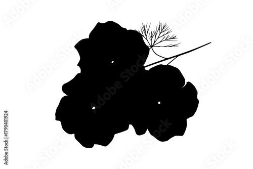 Three Radiant Petunias Black White Symphony | Clean, isolated vector art for creative projects.