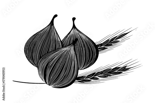 Nutty Trio: Hazelnuts Abundance | Clean, isolated vector art for creative projects.