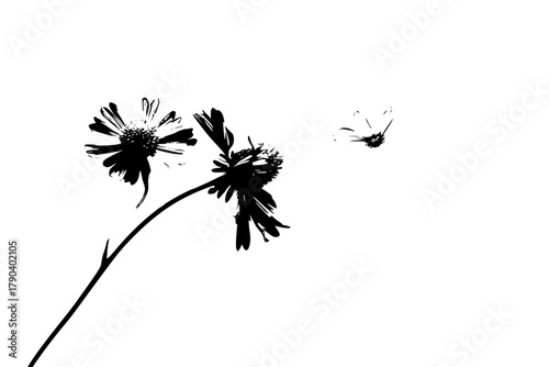 Dreamy Daisies: Two Echinacea Flower Heads Silhouette | Clean, isolated vector art for creative projects.