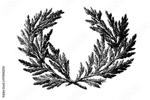 Evergreen Emblem: Monochrome Memento Nature's Endurance | Clean, isolated vector art for creative projects.