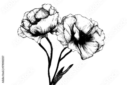 Floral Symmetry: Black White Tribute Nature's Artistry | Clean, isolated vector art for creative projects.