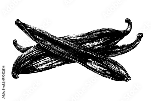 Elegant Arrangement Two Vanilla Beans, Extremely Highly Detailed Centered | Clean, isolated vector art for creative projects.