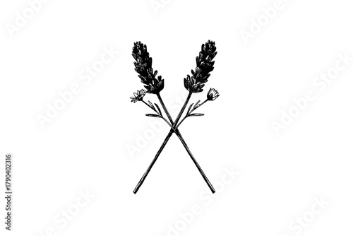 Lavender's Symmetry: Twin Flower Bundle | Clean, isolated vector art for creative projects.