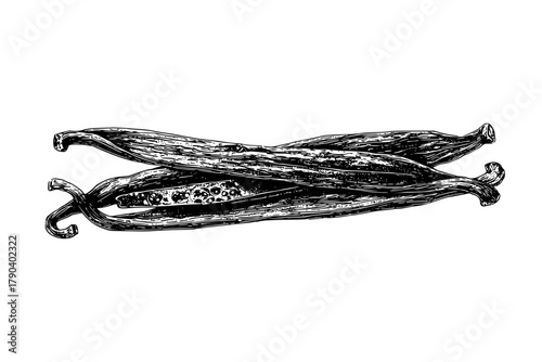 Aromatic Elegance: Delicate Dance Vanilla Beans | Clean, isolated vector art for creative projects.