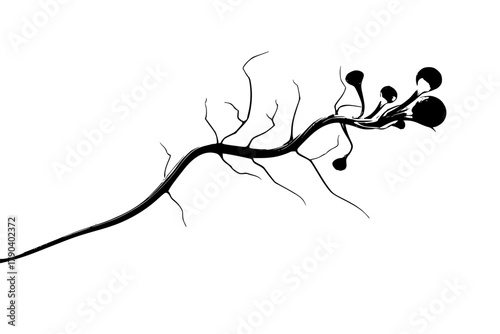 Virginia Creeper's Twisted Embrace | Clean, isolated vector art for creative projects.