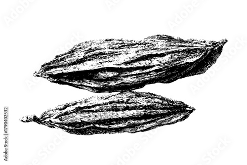 Ethereal Eden: Timeless Flower's Journey Black White | Clean, isolated vector art for creative projects.