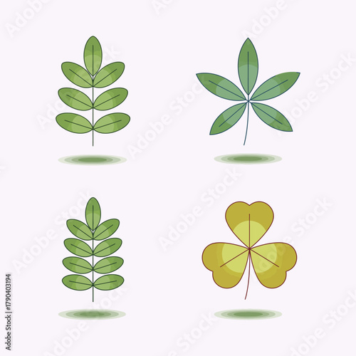 Detailed Close-Up of a Compound Leaf with Rich Green Color