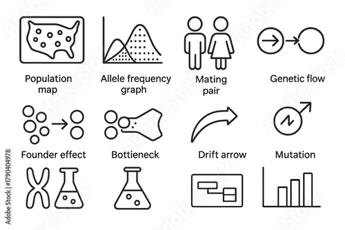 Population Genetics Icons. Line style icons of Population Genetics: population map, allele frequency graph, mating pair, genetic