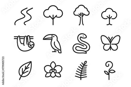 Amazon Basin Icons. Line style icons of Amazon Basin: River, Canopy, Emergent Tree, Understory; Sloth, Toucan, Anaconda, Butterfly